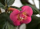 ×Achimenantha Star Tracker