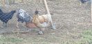 20190929_113406(0)