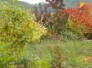 5 oct (56)