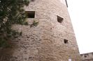 Copy of IMG_1022