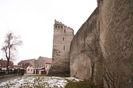 Copy of IMG_1111