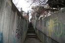 Copy of IMG_1121