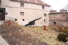 Copy of IMG_1137