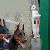 Eurovision 2018