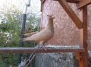 SAM_6673
