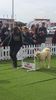 Dog Fest Royal Canin HORNBACH