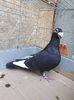 received_465144984071846