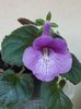 thumbnail - 2019-09-11T214626.714