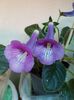 thumbnail - 2019-10-10T174620.303