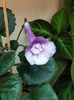 thumbnail - 2019-10-10T175559.062