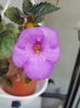 thumbnail - 2019-09-27T231433.151