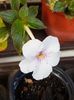 thumbnail - 2019-10-10T175948.860