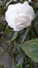 IMG-20190930-WA0006
