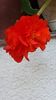 IMG-20190930-WA0025