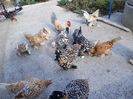 20191011_151644(0)