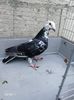 received_2447797462007395
