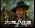 Drumul Oaselor