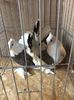 A4DC7955-BE76-4530-8DED-82417A7EED93
