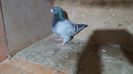 IMG-20191024-WA0058