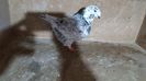 IMG-20191024-WA0036