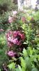IMG-20190614-WA0004