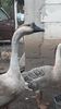 20191016_183841(0)