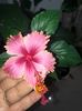 D3C2D120-B7CC-4853-AFF1-CA50C468FB5B
