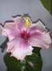 20E161B3-8DB4-43DF-A972-17C51939E2B2