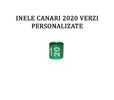 INELE CANARI 2020