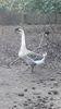 VideoCapture_20191103-224727