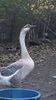 VideoCapture_20191103-225448