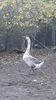 VideoCapture_20191103-225432