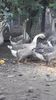 VideoCapture_20191103-225553