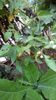 IMG-20191104-WA0008