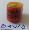Romania-2010