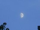 Luna in crestere in Pesti