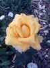 received_503869870459023
