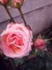 received_668449343682343