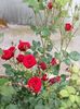 received_404940037107279