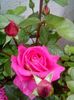 received_419980822234423