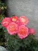 received_1149264041922941