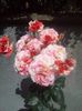 received_319384968980080