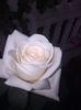received_927585940956087