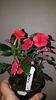 IMG-20190827-WA0032