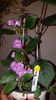 IMG-20190827-WA0042