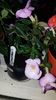 IMG-20190828-WA0051