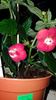 IMG-20190828-WA0057