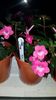 IMG-20190828-WA0061