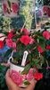 IMG-20190907-WA0042