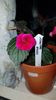 IMG-20190828-WA0065